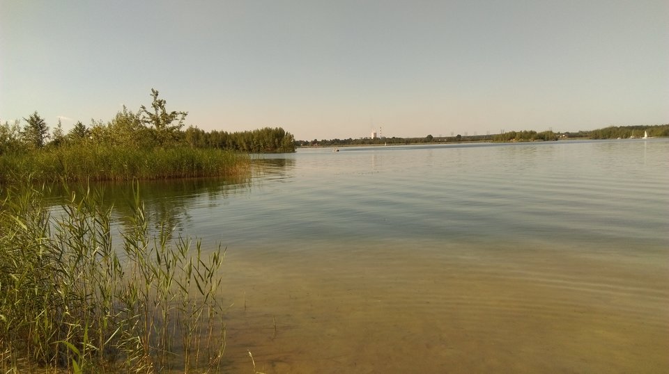 IMAG0350.jpg - P75sl