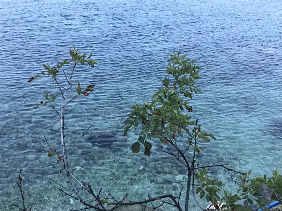 IMG_5324.JPG - radpoz