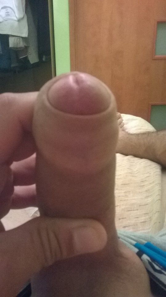 WP_20170804_024.jpg - maikel1212