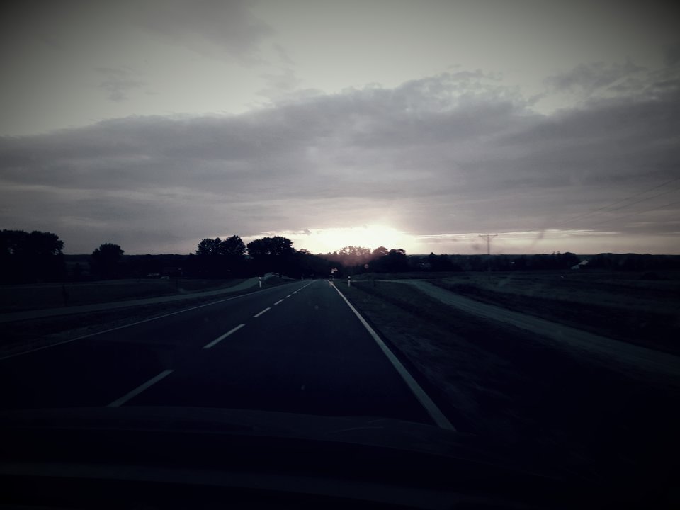 20170809_114820.jpg - dino8