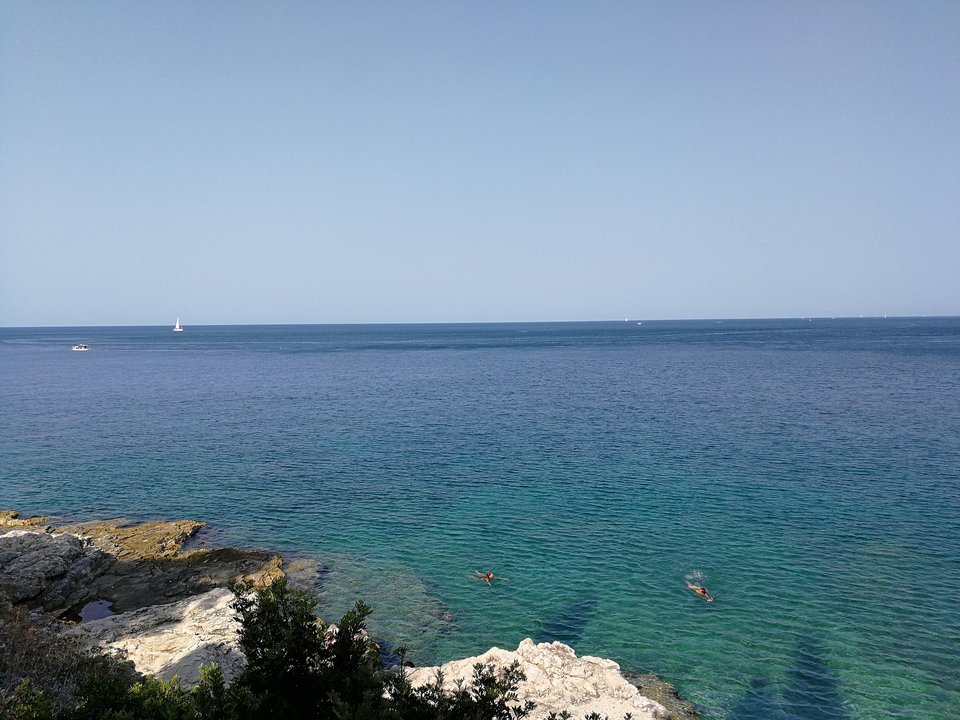 IMG_20170806_094313.jpg - allepara