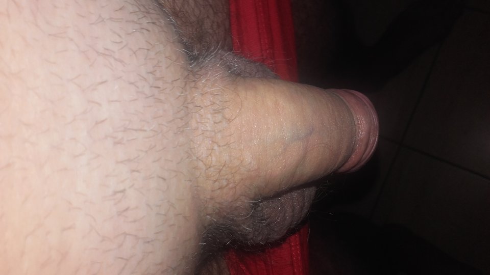 1502437186241-1570203592.jpg - kochanek_wojtek