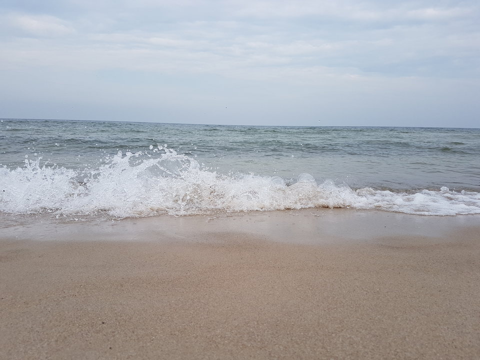 Wład.2017 - Leon11x