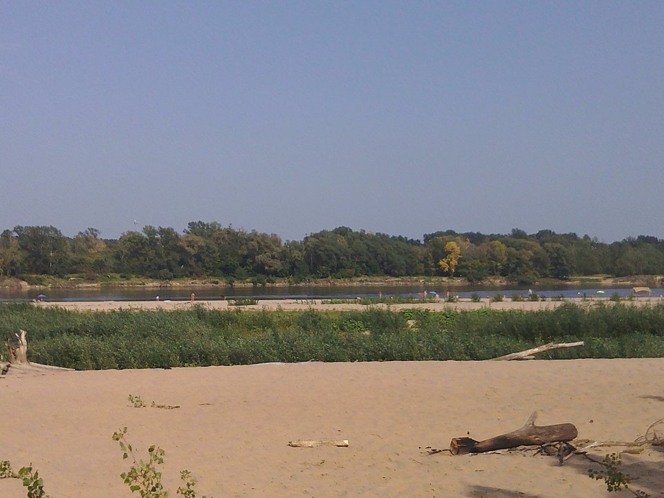 1502460623996-2086647142.jpg - wawamybi