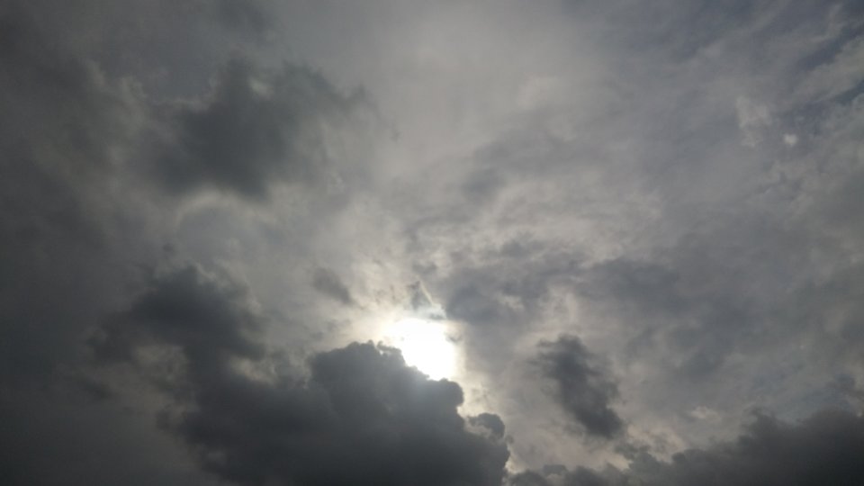 20170728_171353.jpg - grist