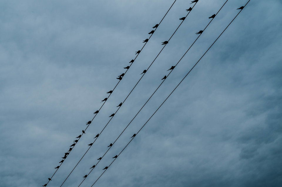 Jaka to melodia?? - mystic