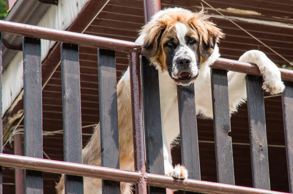 No, siemanko Mała :)) - mystic