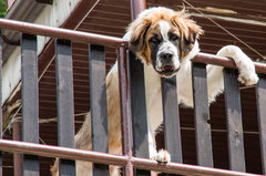 No, siemanko Mała :))