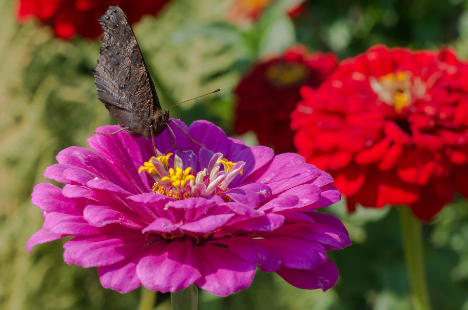 Ciemny typ... - mystic