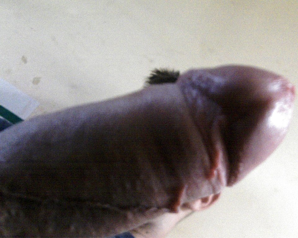 170817-073818.jpg - samdlapar