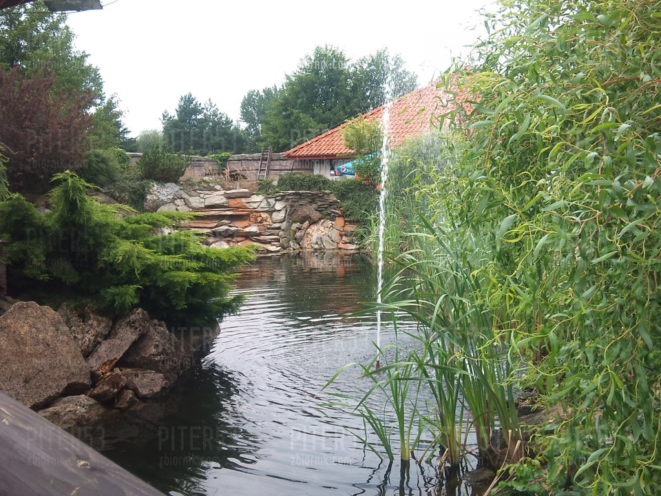 DSC_0958.jpg - Piter53