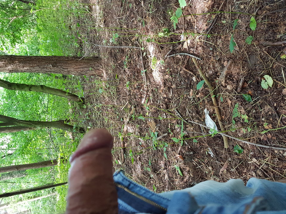 20170818_120652.jpg - Grey1979