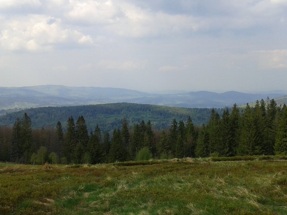 20140501_153821.jpg - Bikierowca