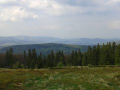 20140501_153821.jpg