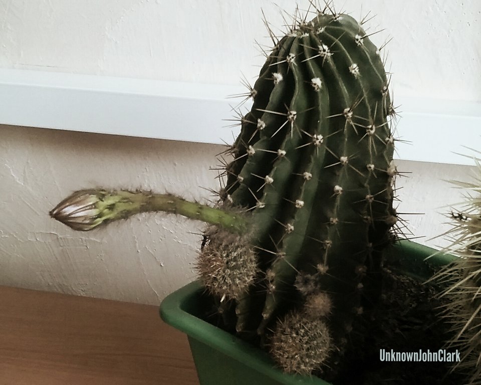 2017-08-23_01.50.56.jpg - UnknownJohnClark