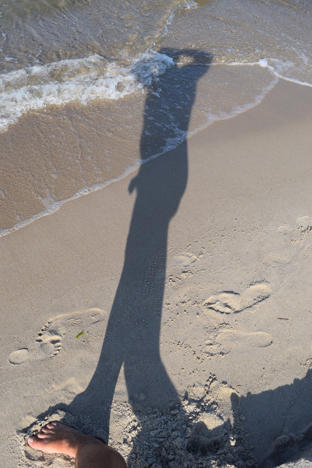 _DSC_0943.JPG - KolekcjonerMajtek