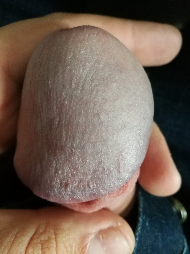 IMG_20170823_143033.jpg - RATCVAC