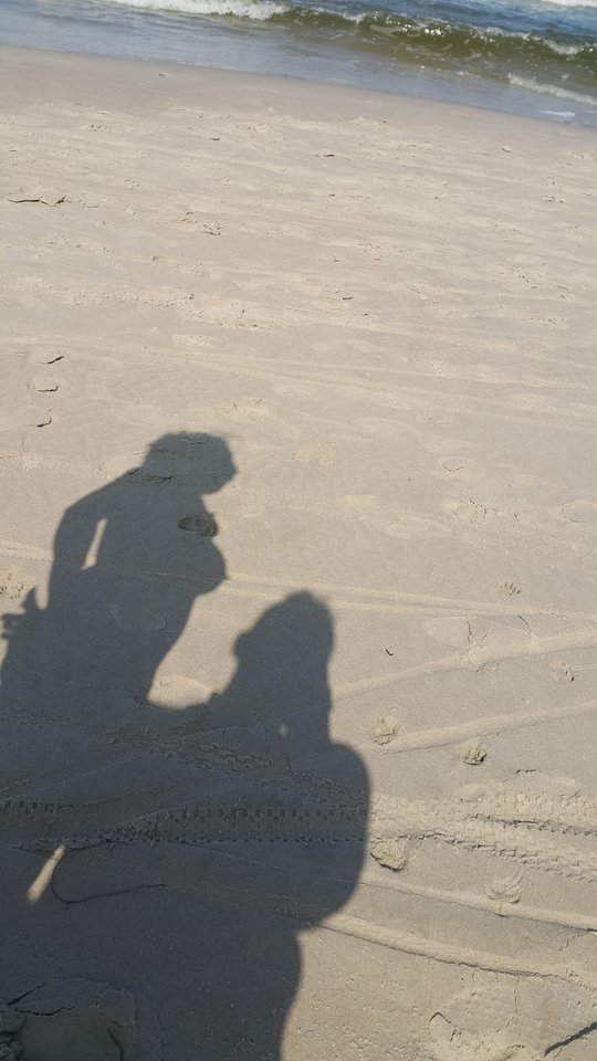 20170824_124454.jpg - PaweliRenia