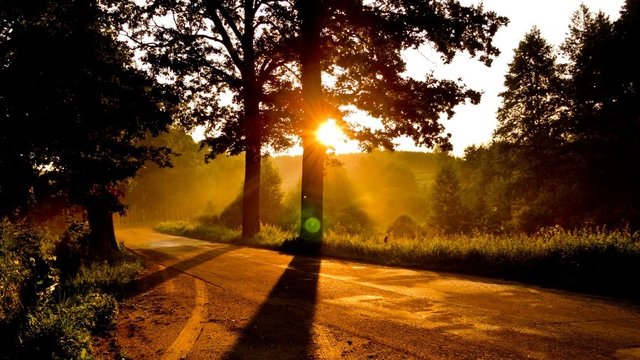 IMG_1309.JPG - darasas