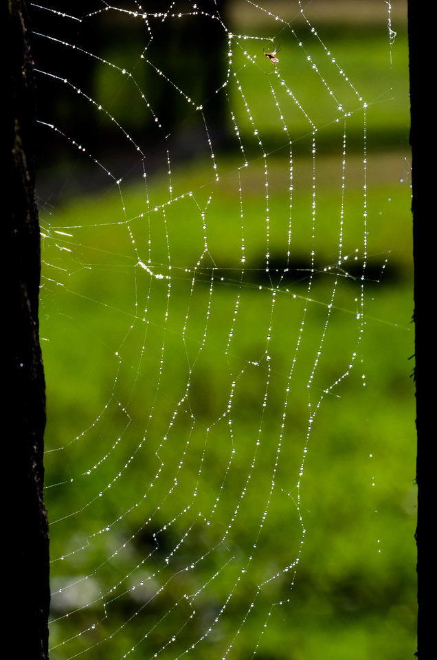 Konstelacje - mystic