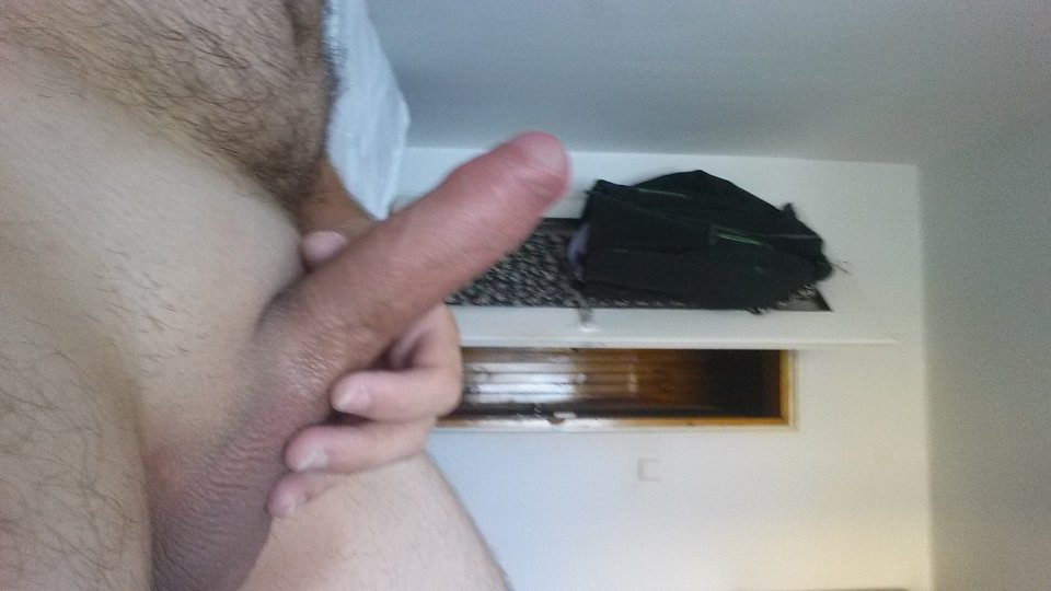 20170803_100820.jpg - bawol27