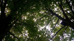 tmp-cam-679652702.jpg