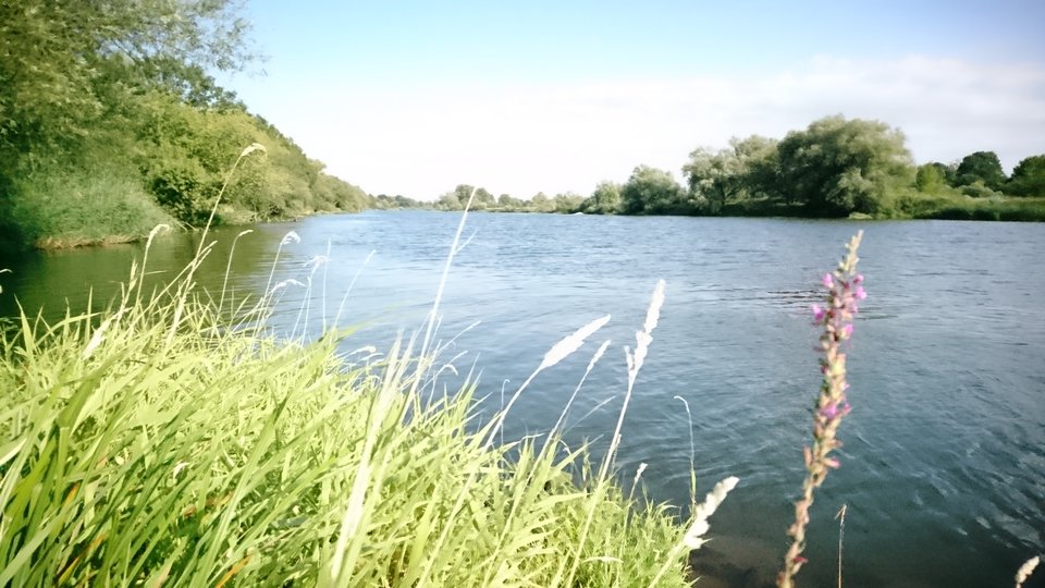 DSC_1808.JPG - 15Tomi