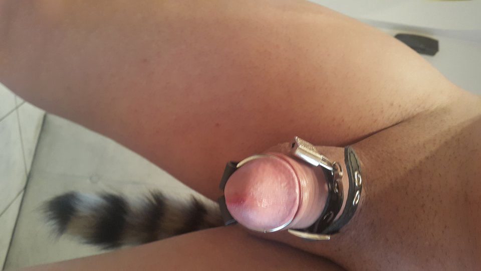 20170826_140536.jpg - sexkoliberki