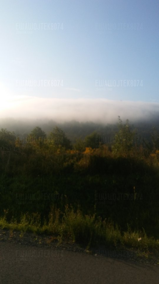 20170829_072356.jpg - ewawojtek8074