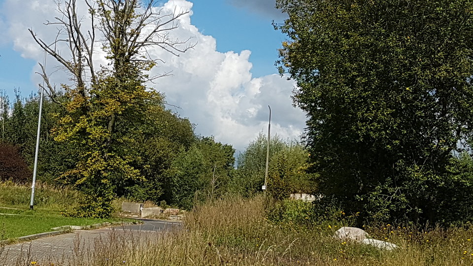 20170828_112928.jpg - starybi