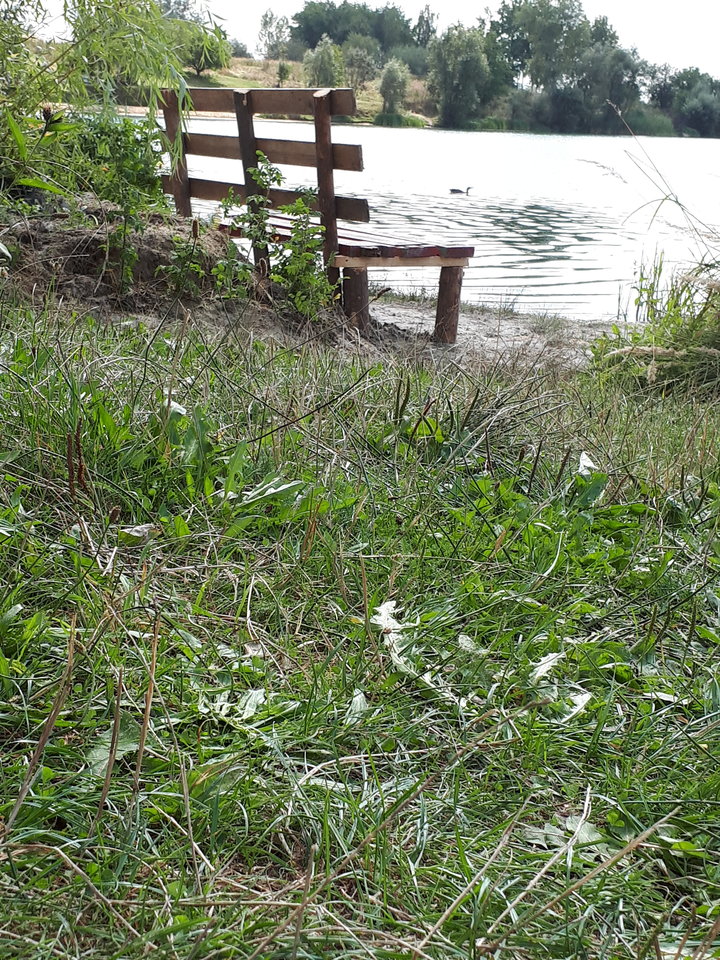 20170829_114600_001.jpg - pyszczek38