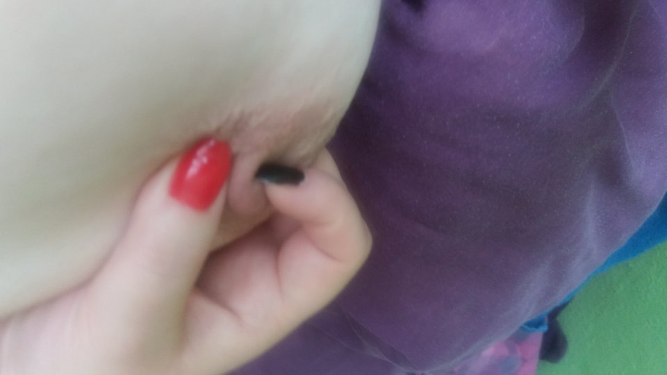 20170829_120059.jpg - Aanneettaa