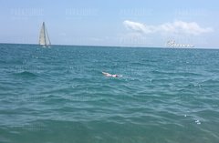 Samotny biały żagiel ⛵