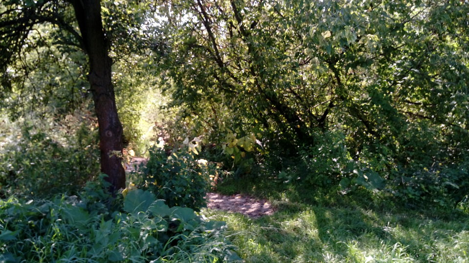 1504181130456-615809552.jpg - YOU86