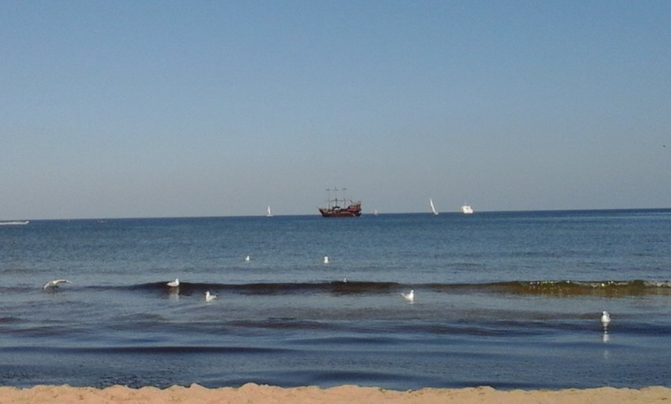 078.jpg - OBRZEZANY1