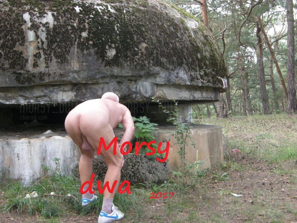 Na szlaku - Morsy_dwa