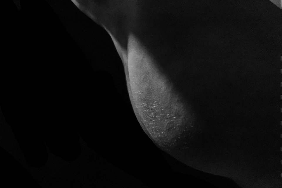 prof.jpg - FajnyGosc_28