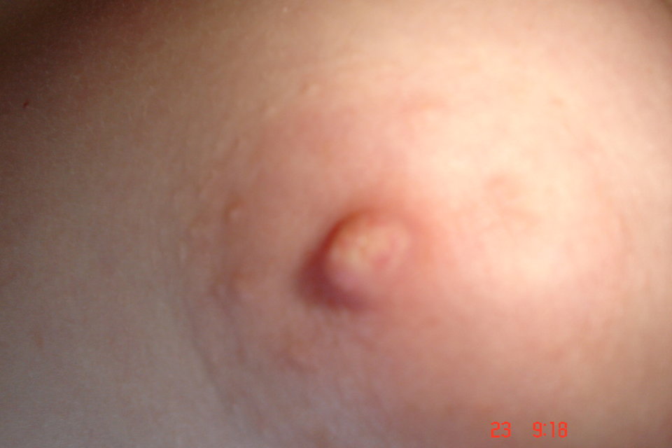 Obraz 1157.jpg - wiolaartur