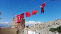 IMG_20151022_125615.jpg