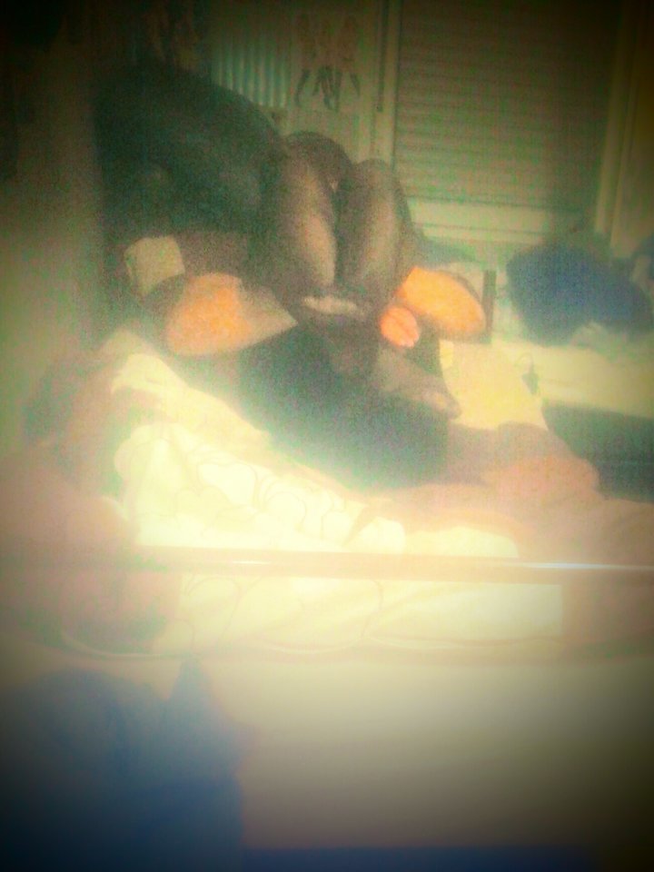 20170828_232502.jpg - PaulinCiaa