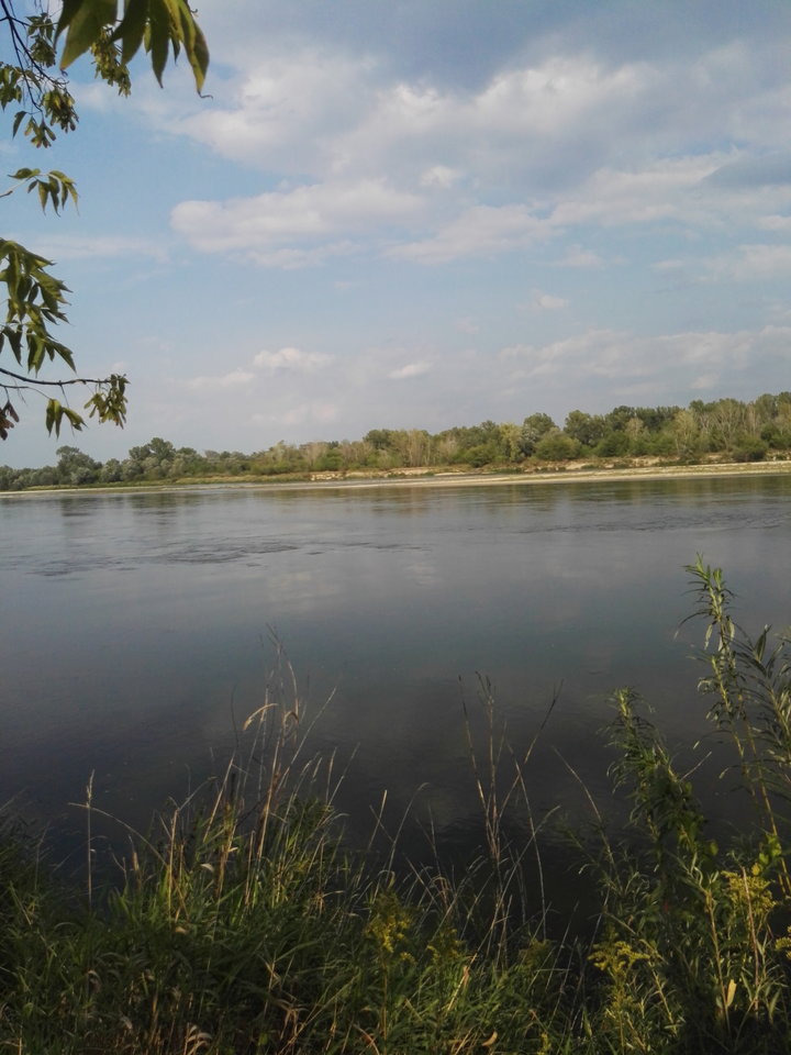 IMG_20170910_152035.jpg - podniecony111