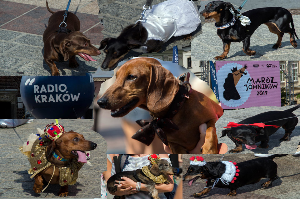 Marsz niskopodłogowców :)) - mystic