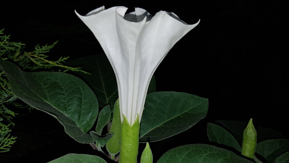 20170911_190908.jpg - destroy