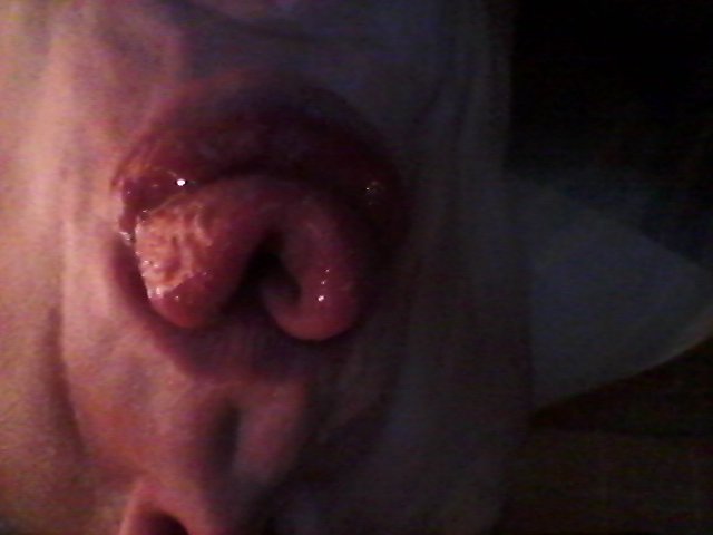 20170916_192824.jpg - janekoko4