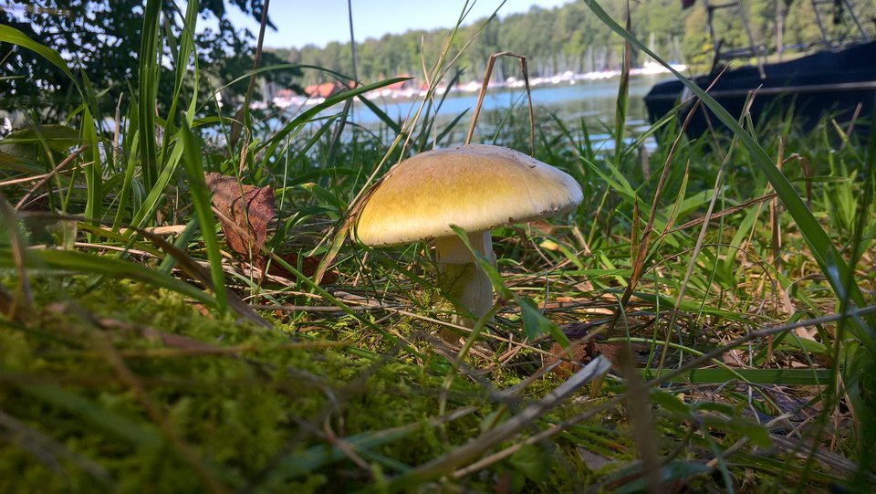 WP_20170830_12_33_20_Pro.jpg - pwpara