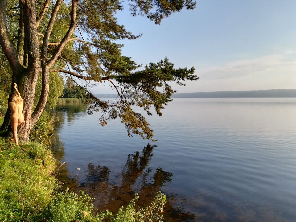 IMG_20170917_081629.jpg - robecia