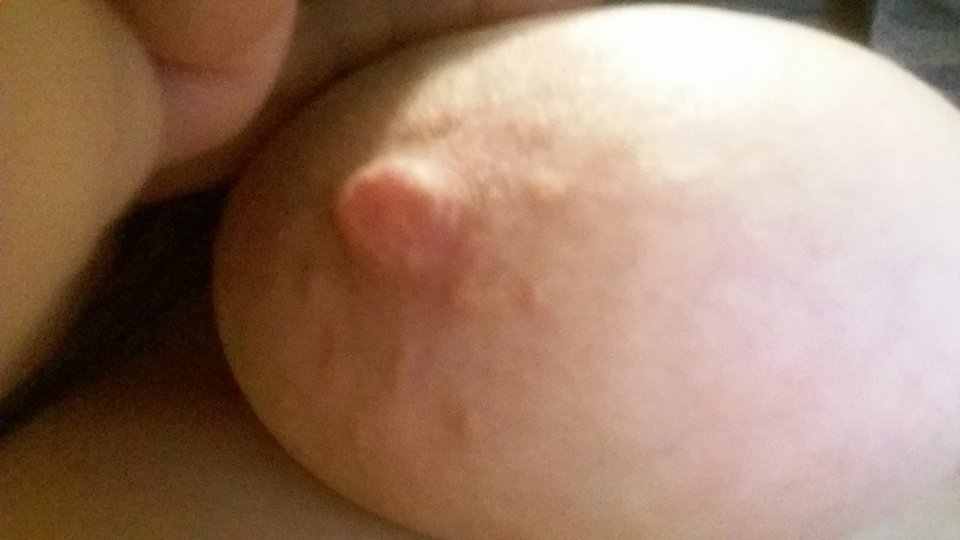 cycus.jpg - Anna0911