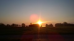 dzisiejszy poranek, to co robimy, grzyby czy ryby?😉 