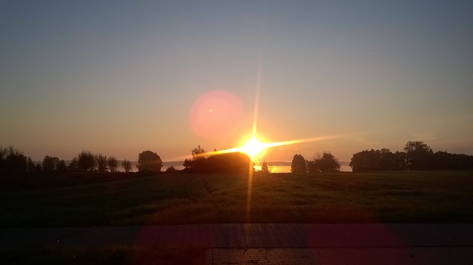 dzisiejszy poranek, to co robimy, grzyby czy ryby?😉  - Olek_51