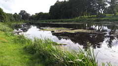 20170826_165435_001.jpg
